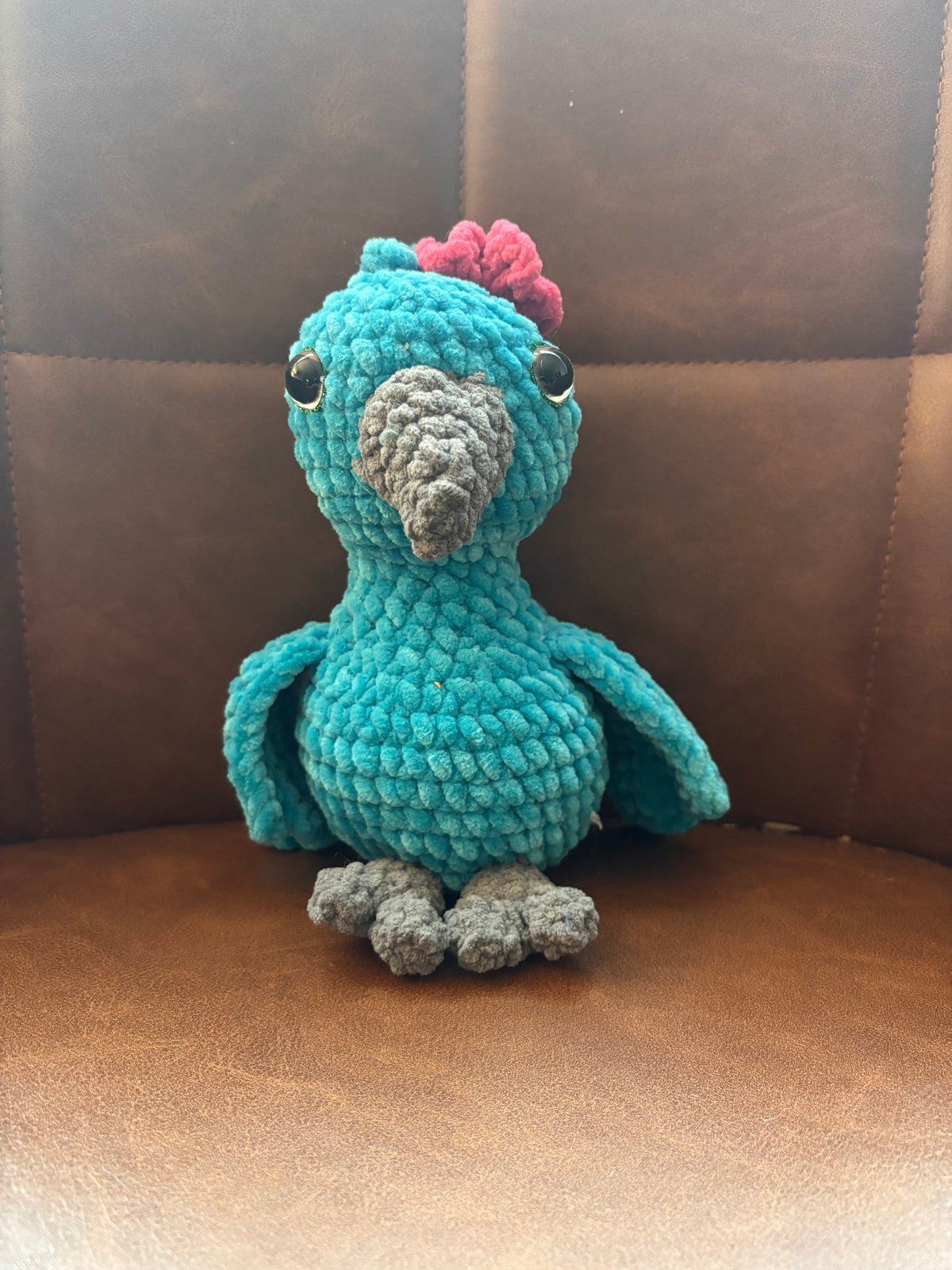 Lady Macaw